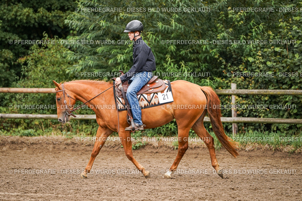 DSC03489 | Pferdegrafie