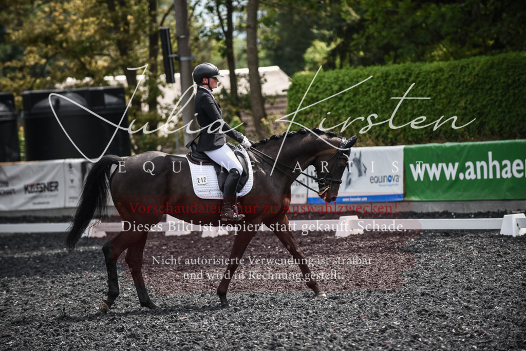 DSC_4801 | Pferde- und Turnierfotografie in Westsachsen. Pferdeportraits, Auftragszeichnungen und intuitive Kunst.