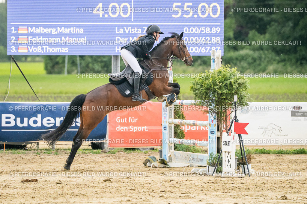 DSC07170 | Pferdegrafie