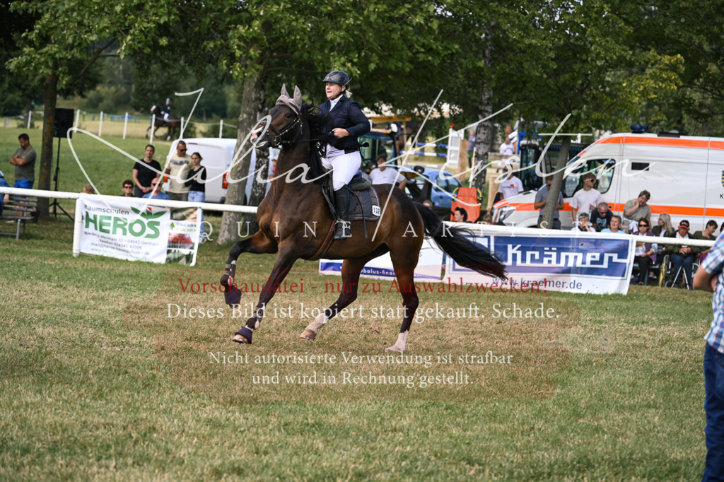 DSC_0553 | Pferde- und Turnierfotografie in Westsachsen. Pferdeportraits, Auftragszeichnungen und intuitive Kunst.