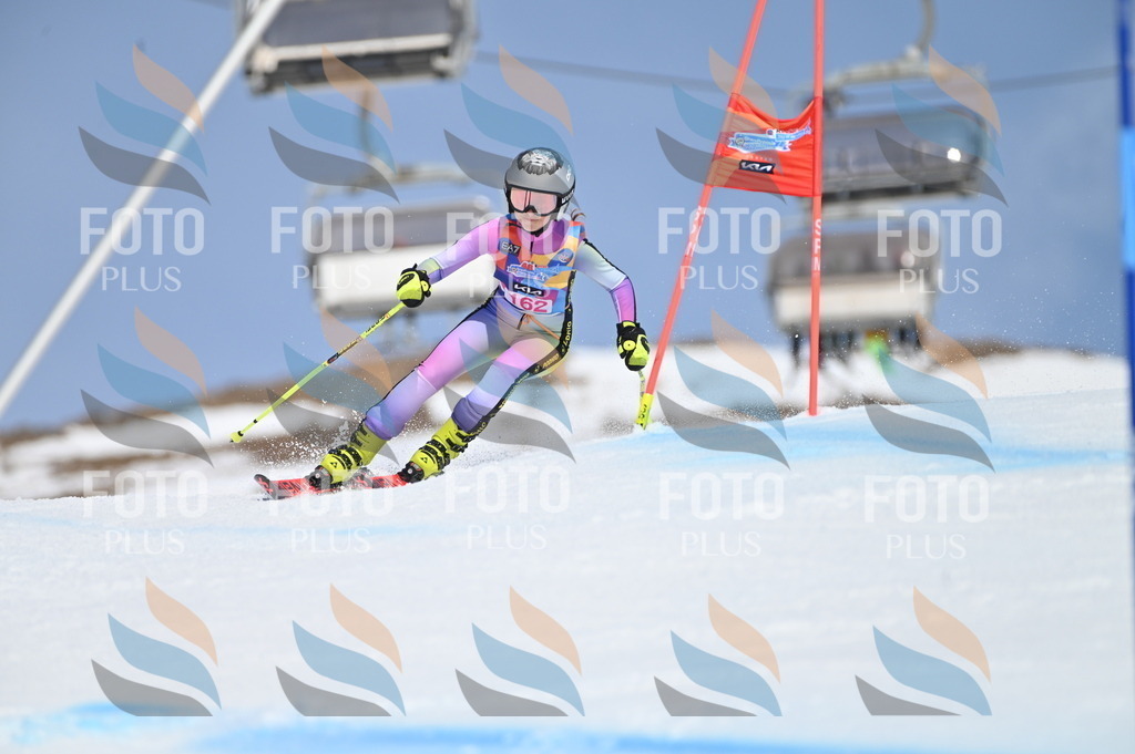 BGV_0285 | holidayphoto