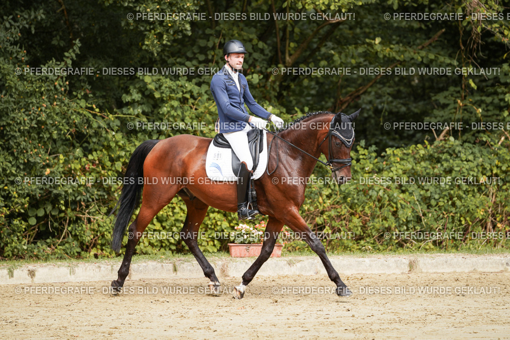 DSC09058 | Pferdegrafie