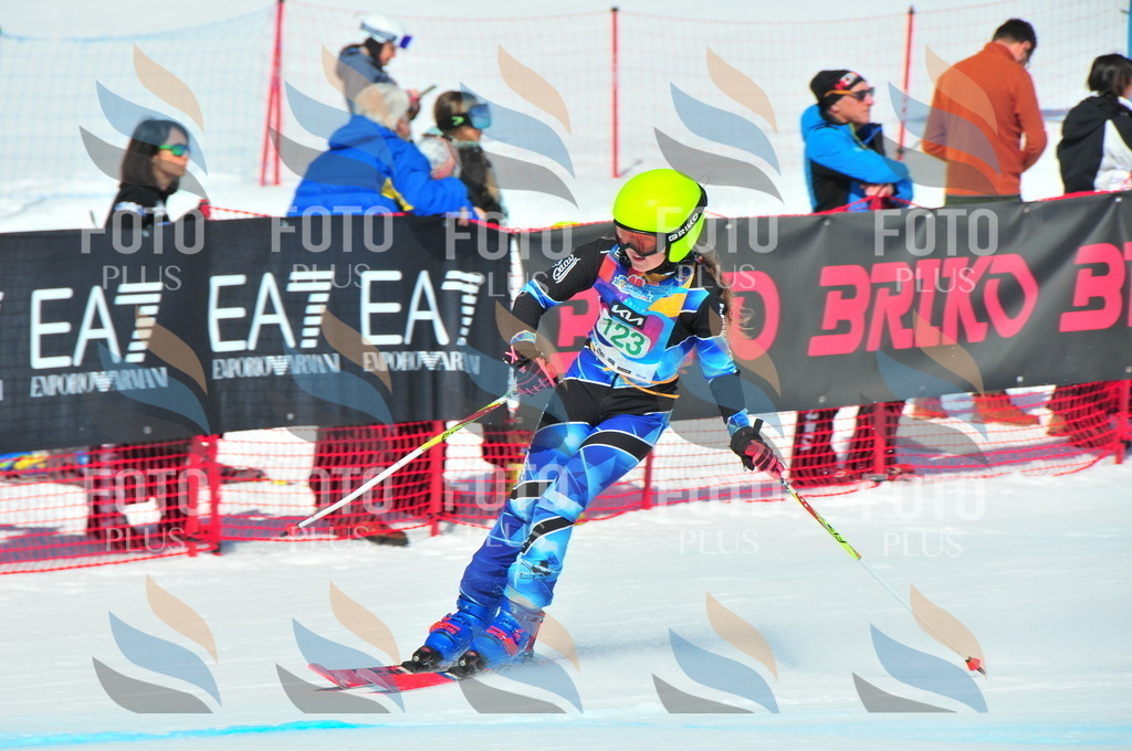 DSC_0979 | holidayphoto