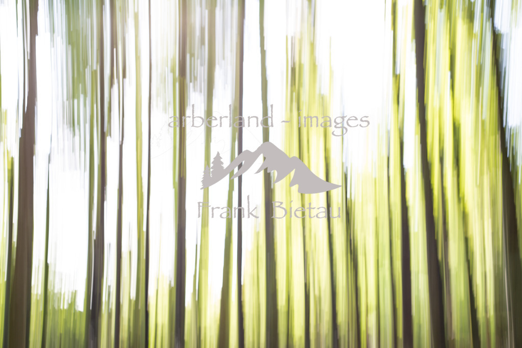 _Z5A7947-2 | Medien- Sport- Entertainmentfotos