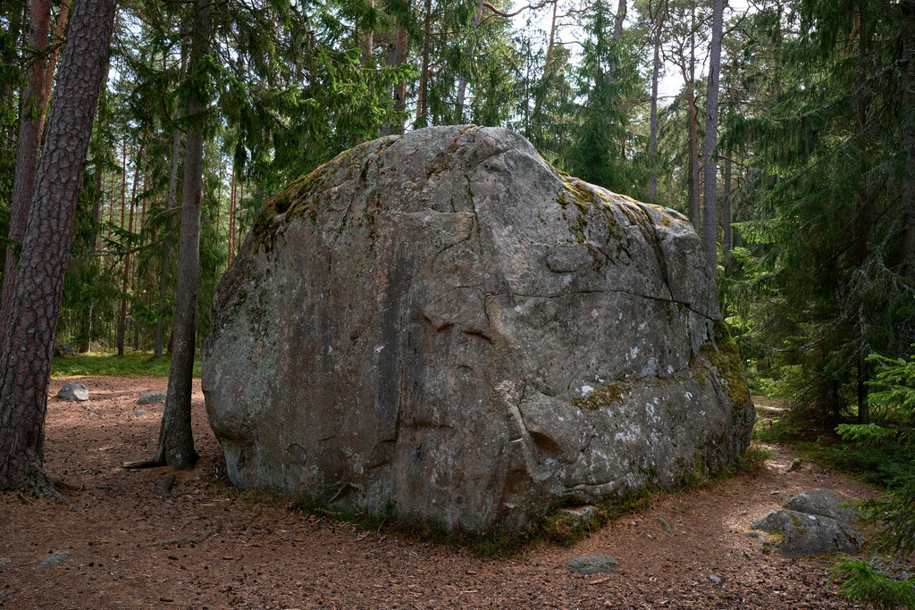grosser Findling im Wald | Käsmu, Estland - August 24, 2022: Wanderung auf der Halbinsel Käsmu; grosser Findling im Wald - Realisiert mit Pictrs.com