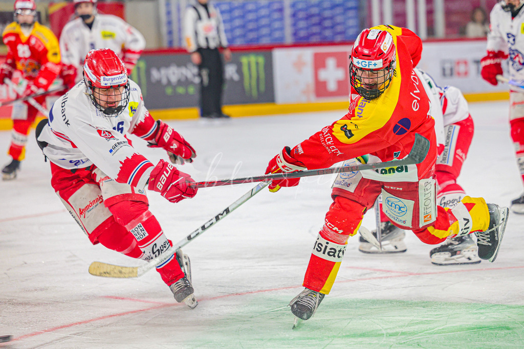 0316_WB_EHCB vs SCRJL_1320 | Sportbilder, Sportfotograf, Hochzeits- und Eventfotografin, Flugshows, Portraits und Tiershooting, Aviation, Downhill, Nationalleague, Swissleague, International