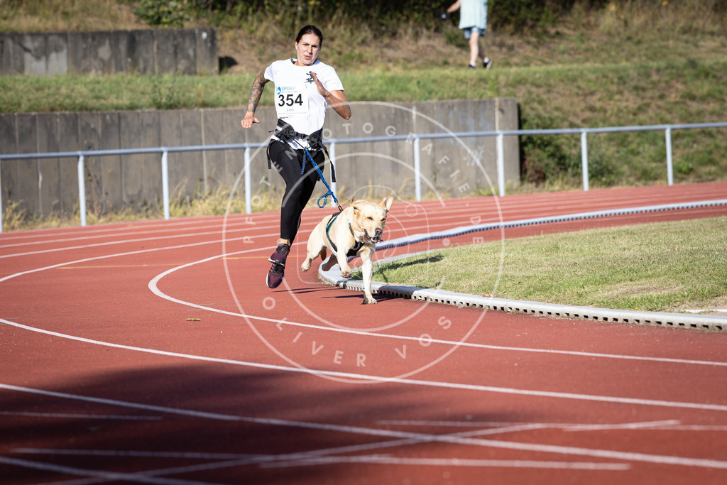 Pfotenfotografie_DV3A9856 | Hundefotografie, Tierfotograf, Pfotenfotografie, Fotoshooting Hund, Hunde Portrait, Hundesport, Hundeportraits, Heideshooting, Hunde, Sportfotograf, Hundefotograf, Turnierhundsport, THS,  - Realisiert mit Pictrs.com
