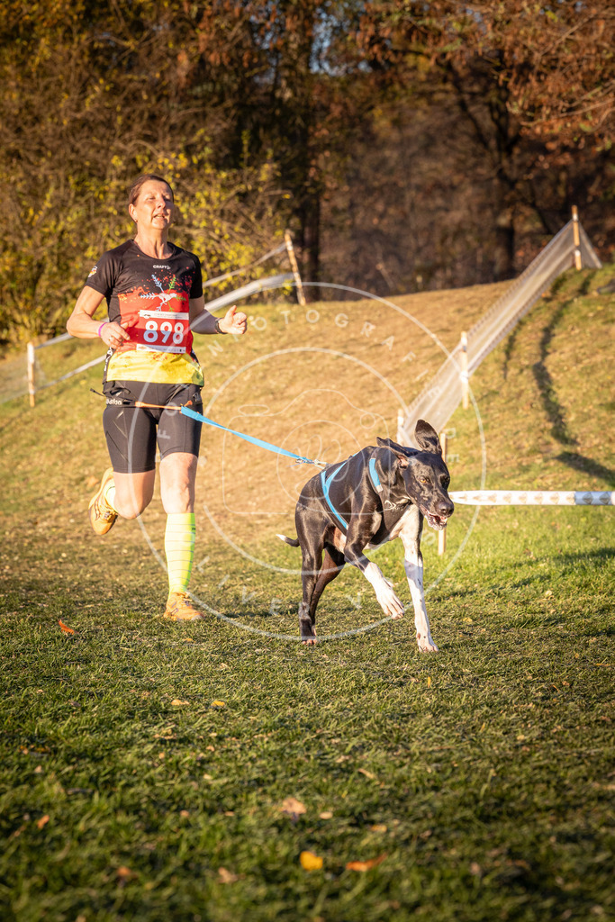 CaniXpix_0L8A1290 | Hundefotografie, Tierfotograf, Pfotenfotografie, Fotoshooting Hund, Hunde Portrait, Hundesport, Hundeportraits, Heideshooting, Hunde, Sportfotograf, Hundefotograf, Turnierhundsport, THS,  - Realisiert mit Pictrs.com