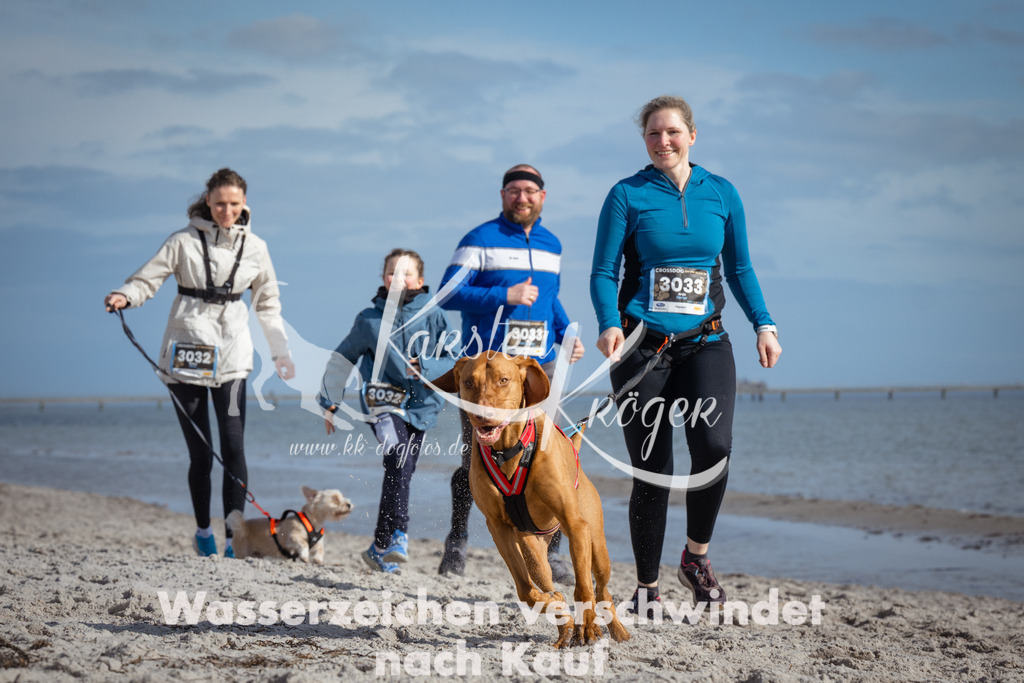 1246_ZZ98552 | kk-dogfotos