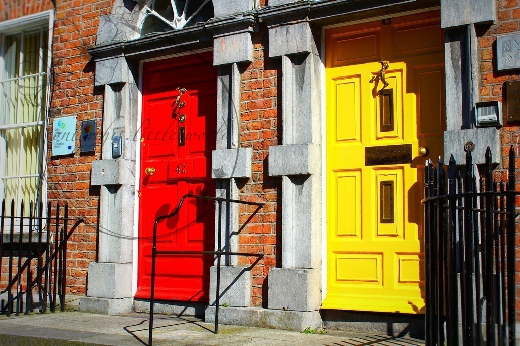 IMG_3681-01 | only.this.little.world - Realisiert mit Pictrs.com