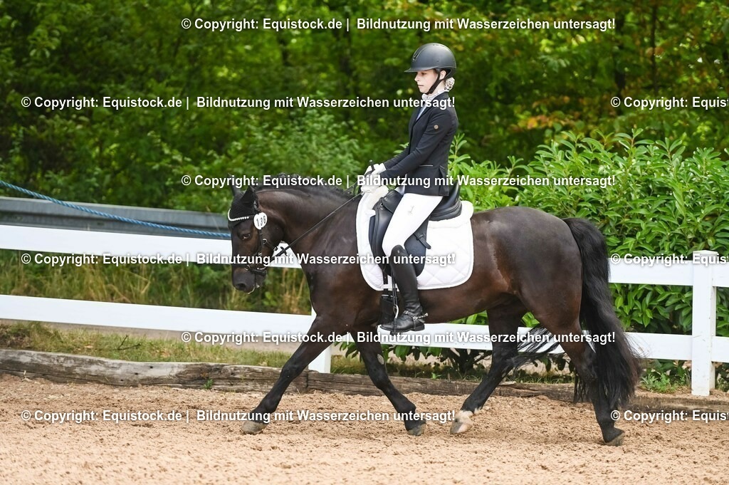 20230716_04_Dressurreiterprüfung Kl.A_0306 | equistock
