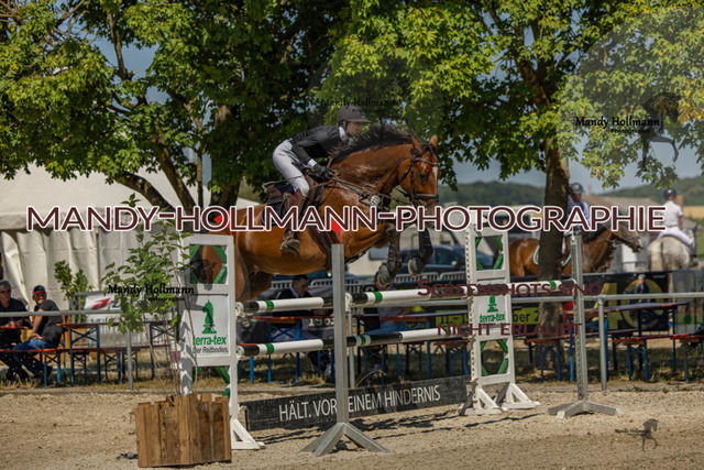 26-7-24 SPF M+-832 | mandyhollmannphotographie