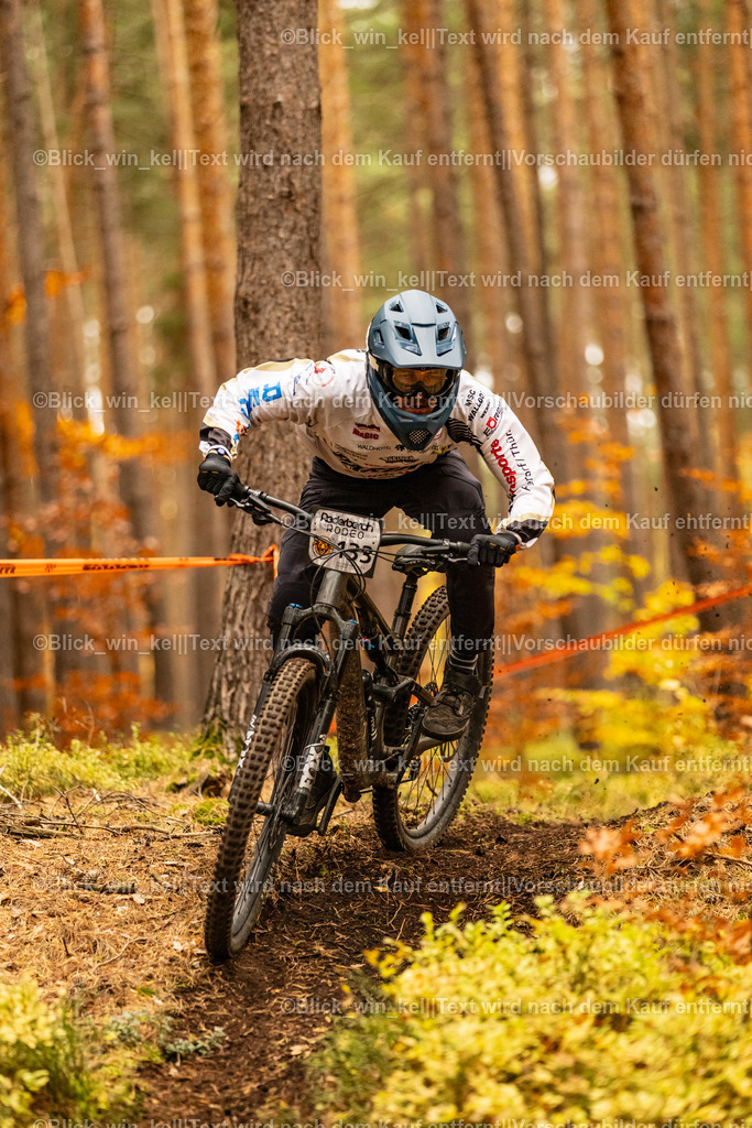 E68A3237 | blick_win_kel