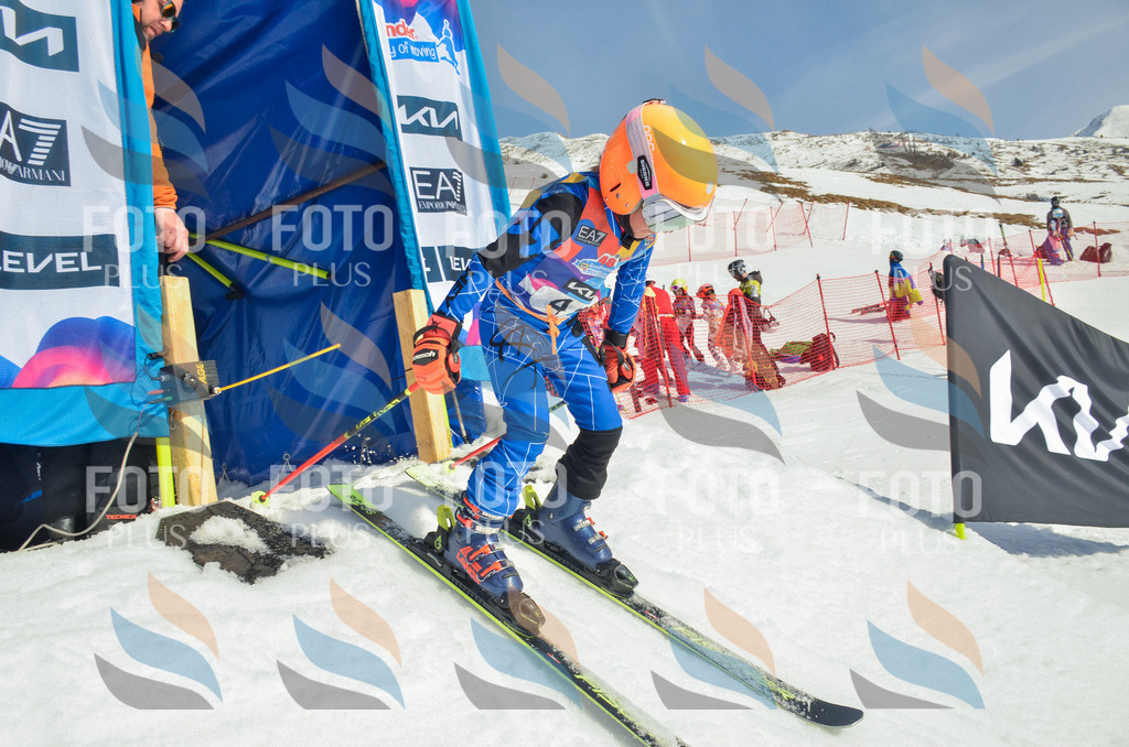 _ELE5096 | holidayphoto