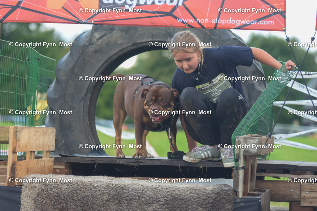DSC_0263-2 | Hallo und herzlich Willkommen auf meiner Shop-Seite Fynn Most.

Ich wünsche Dir viel Spaß beim stöbern durch die Bilder, wenn Du Fragen hast oder Bilder vermisst, kannst du mir gerne eine Nachricht schreiben. - Realisiert mit Pictrs.com