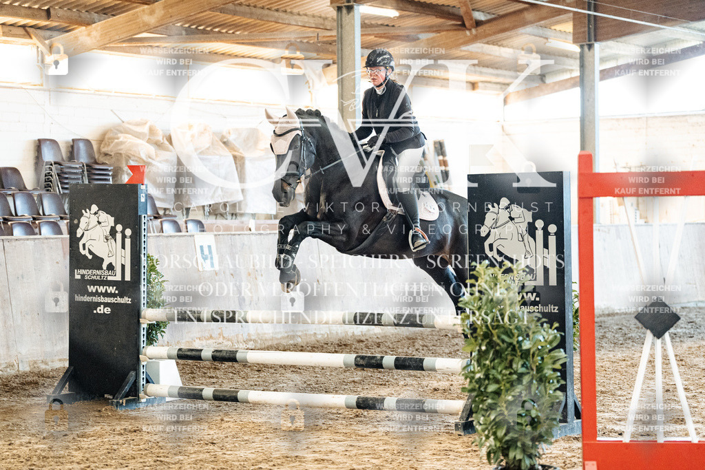 CK904500 | Turnierfotografie Pferdefotografie Trier Rheinland-Pfalz Pferdesport Reitsport Tierfotografie Sportfotografie Pferdevideo Pferdevideografie Equestrianvideography equestrianphotography  - Realisiert mit Pictrs.com