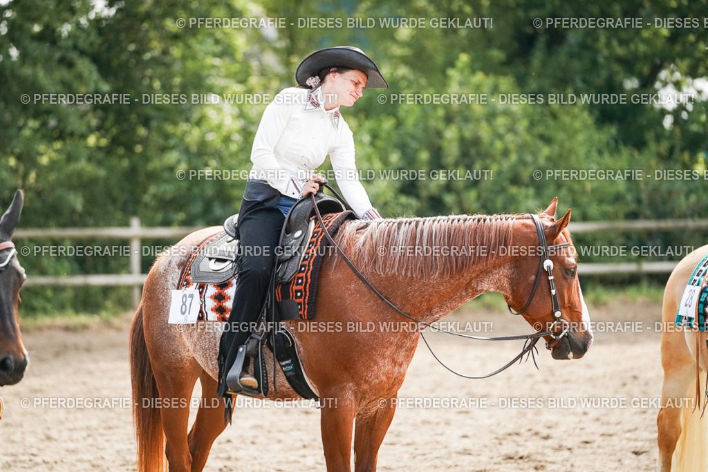 DSC04607 | Pferdegrafie