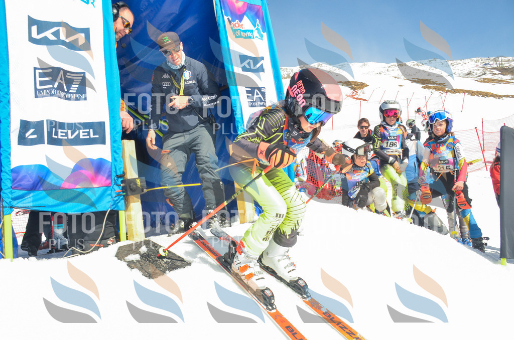 _ELE5941 | holidayphoto