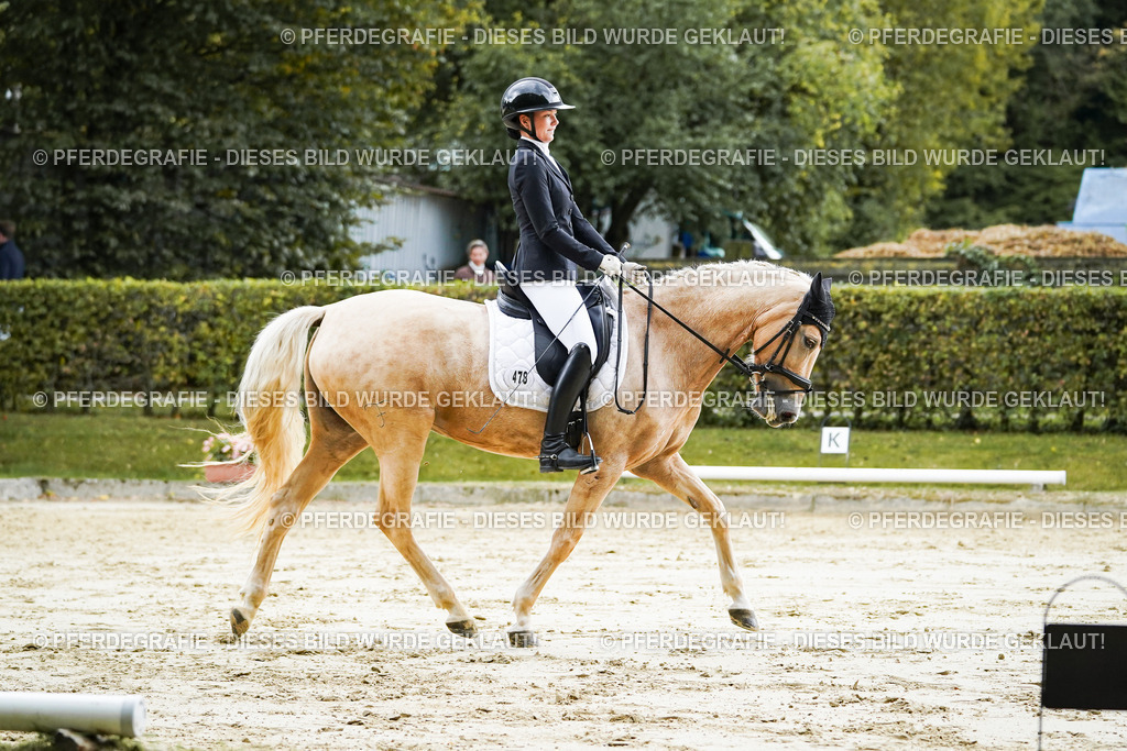 DSC06658 | Pferdegrafie