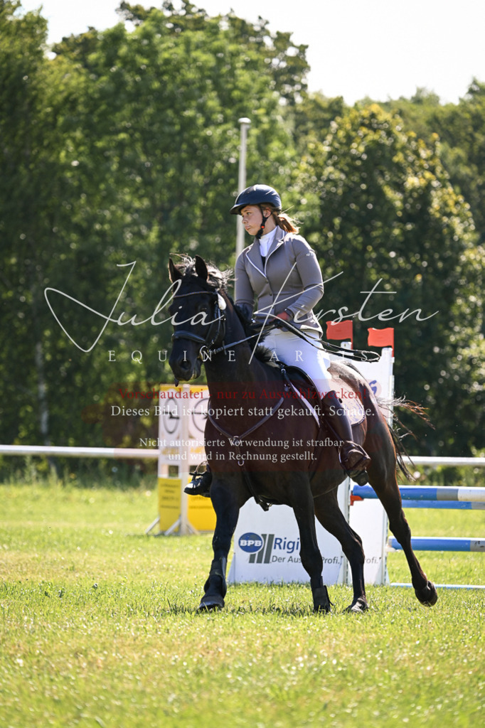 DSC_8796 | Pferde- und Turnierfotografie in Westsachsen. Pferdeportraits, Auftragszeichnungen und intuitive Kunst.