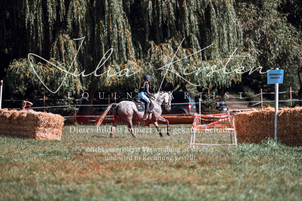 DSC_1156 | Pferde- und Turnierfotografie in Westsachsen. Pferdeportraits, Auftragszeichnungen und intuitive Kunst.