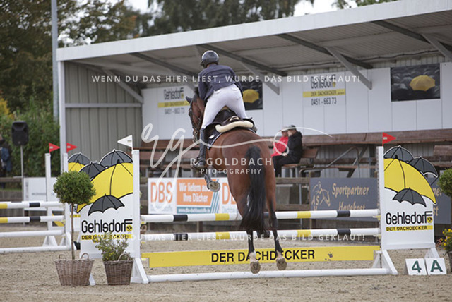 1J2A9028Jordi Sander_ Kracher 3_ Kn607_ Havekost | Foto- und Videografie für alles rund ums Pferd. Hochwertige Bilder und Videos vom Spring- und Dressurreiten, Voltigieren & mehr. Jetzt aktuelle Veranstaltungen und Preise im Shop ansehen. - Realisiert mit Pictrs.com