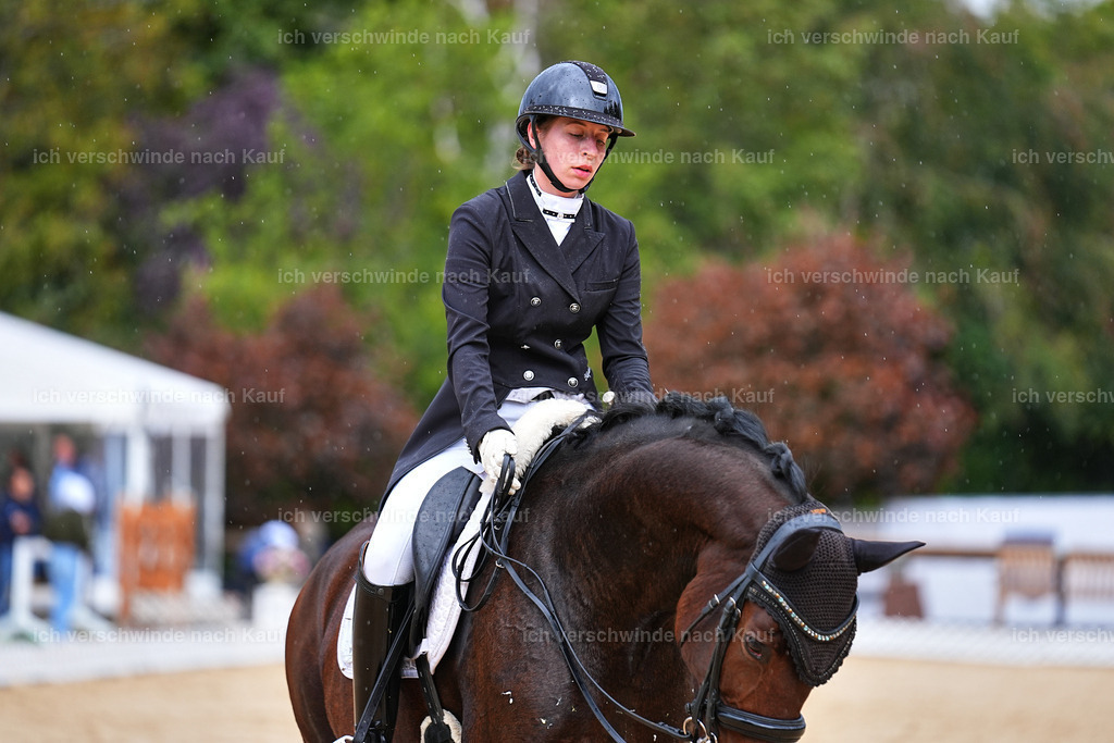 8_1-099-Klasse S_  -Marixx-4191 | working equitationturnier fotograf videograf stoibphotography marixx film working equitation deutschland reitsport turnierfotografie eventfotografie equestrian events