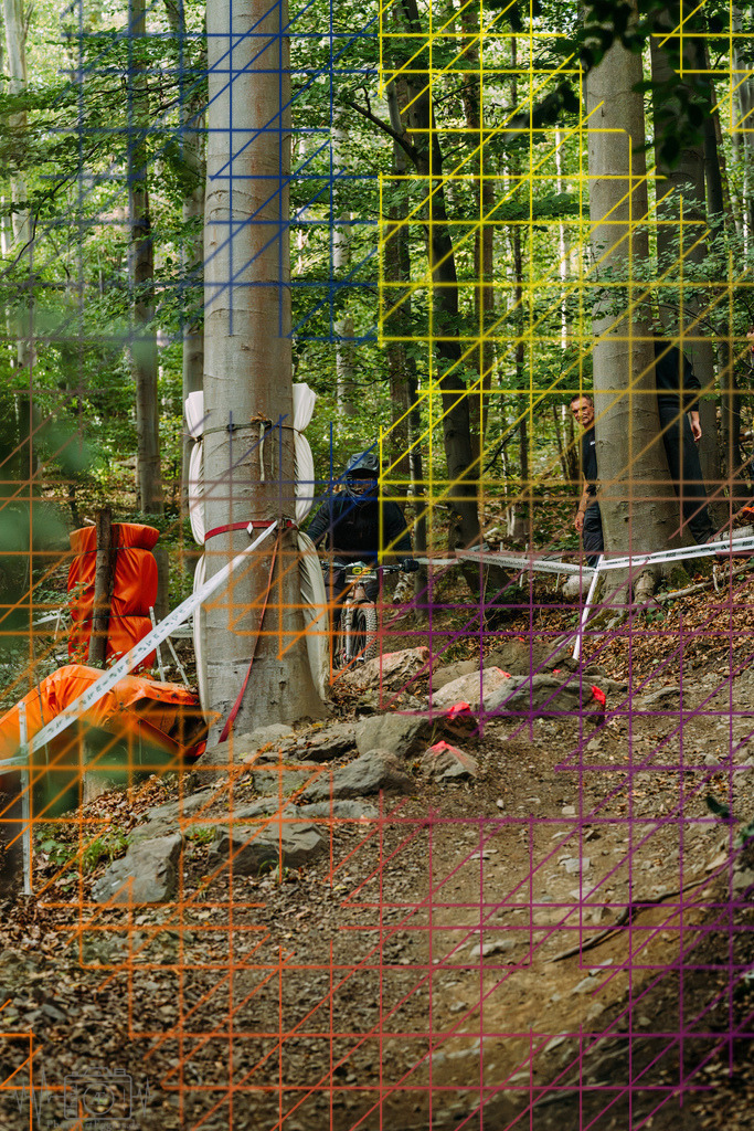 PAE-2332 | Einzigartige Fotokunst für dein Zuhause: Entdecke hochwertige Wandbilder, edle Prints und emotionale Motive von Wildlife, Natur und Landschaften - Realisiert mit Pictrs.com