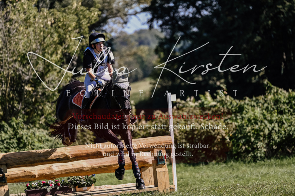 DSC_1812 | Pferde- und Turnierfotografie in Westsachsen. Pferdeportraits, Auftragszeichnungen und intuitive Kunst.