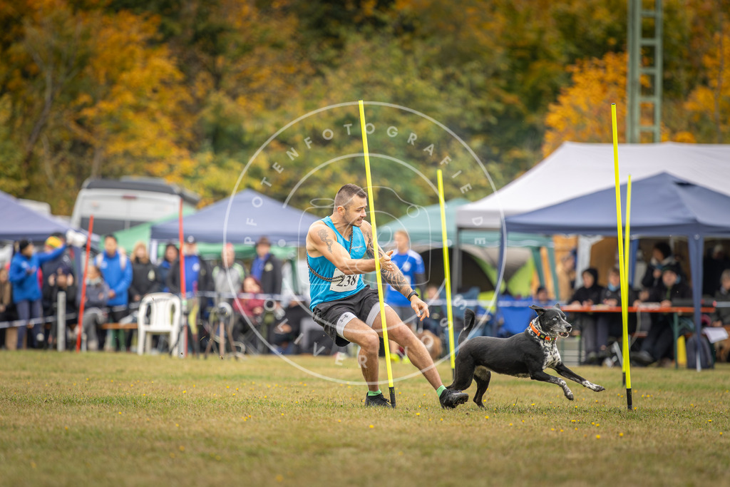 Pfotenfotografie_DV3A5322 | Hundefotografie, Tierfotograf, Pfotenfotografie, Fotoshooting Hund, Hunde Portrait, Hundesport, Hundeportraits, Heideshooting, Hunde, Sportfotograf, Hundefotograf, Turnierhundsport, THS,  - Realisiert mit Pictrs.com