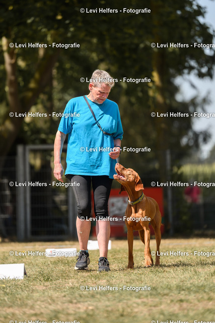 _DSC6287 | levihelfersfotografie