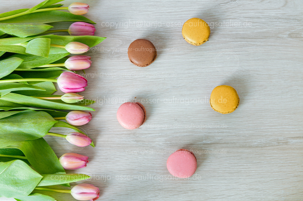 Tulpen und Macarons D | Tulpen mit pinken Blüten liegen auf weißem Holz. Bunte leckere Macarons liegen auf weißem Holz. Draufsicht von oben fotografiert.