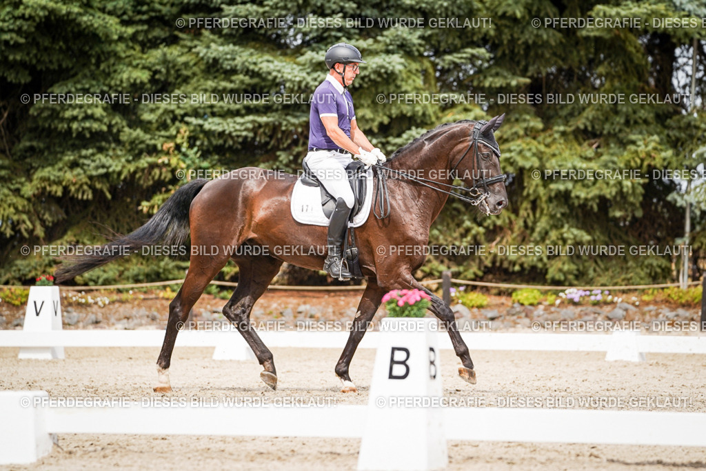 DSC06292 | Pferdegrafie