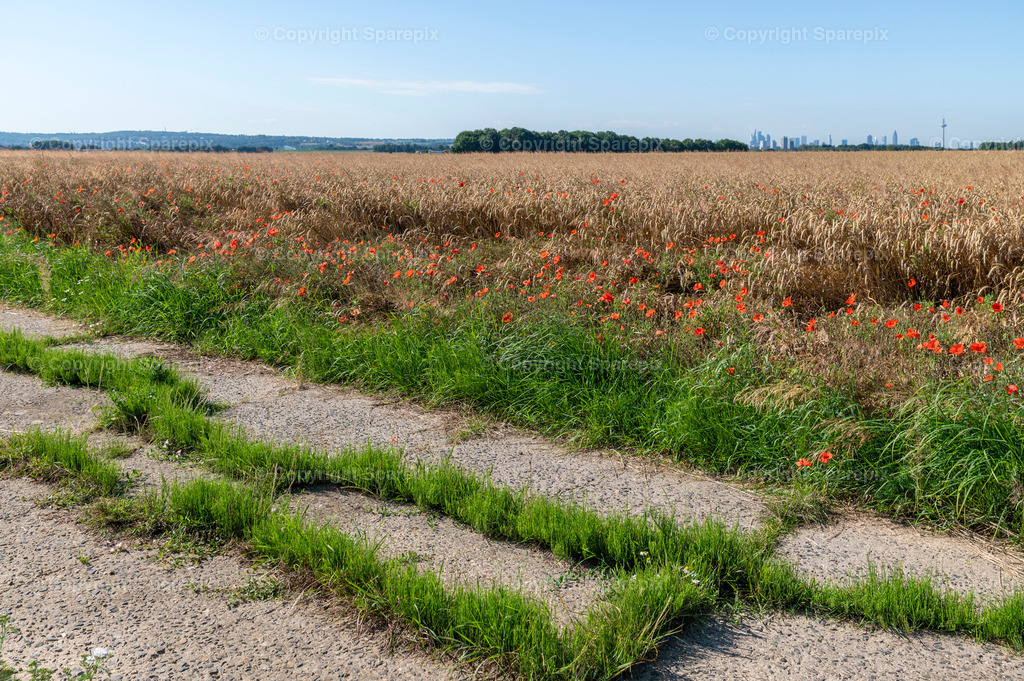 LOC_Trail_Farmland+Skyline2 | sparepix - Realisiert mit Pictrs.com