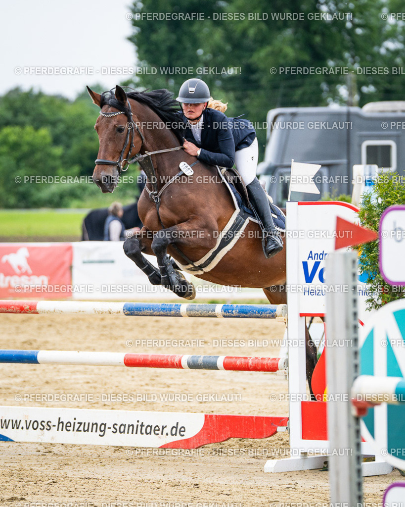 DSC06353 | Pferdegrafie