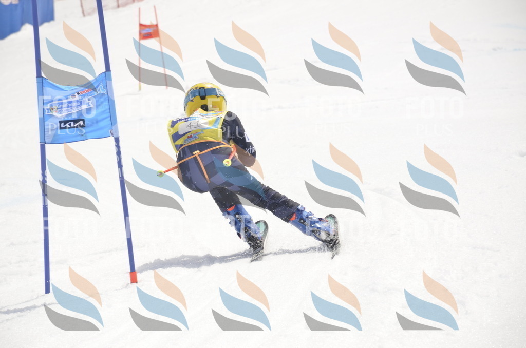 _ELE8714 | holidayphoto