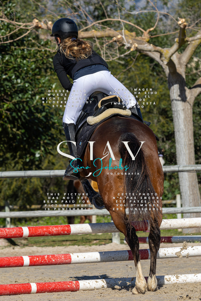 IMG_8628 | s-jay-photography - Realisiert mit Pictrs.com