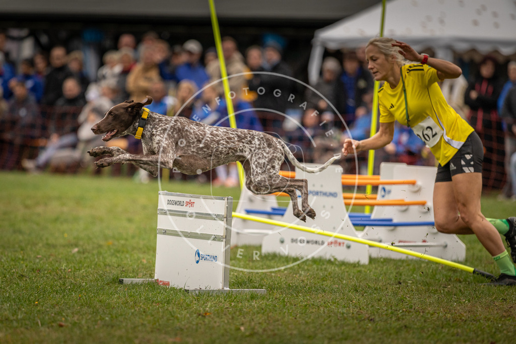 Pfotenfotografie_DV3A7236 | Hundefotografie, Tierfotograf, Pfotenfotografie, Fotoshooting Hund, Hunde Portrait, Hundesport, Hundeportraits, Heideshooting, Hunde, Sportfotograf, Hundefotograf, Turnierhundsport, THS,  - Realisiert mit Pictrs.com