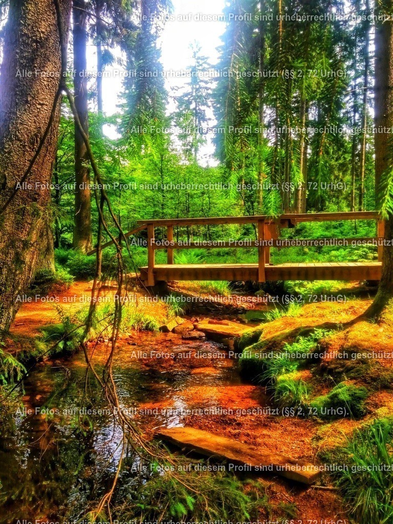 IMG_20170603_1100574-01_4-01 | krollfotografie - Realisiert mit Pictrs.com