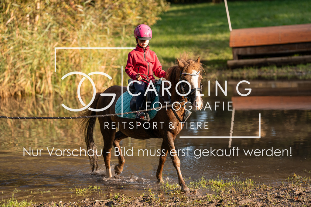 DSC07555 | Turnierfotografin Carolin Gieschke, Turnierfotografie Carolin G Fotografie, Turnierfotos Kirchheim/Teck, Esslingen, Stuttgart, Bodenseekreis