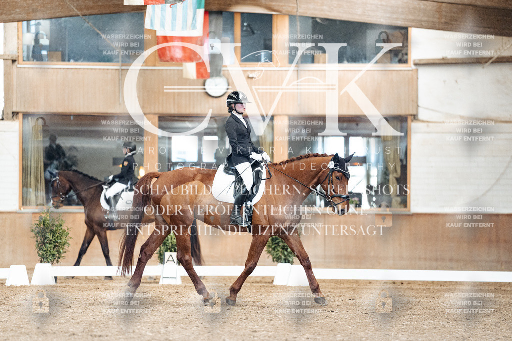 CK901099 | Turnierfotografie Pferdefotografie Trier Rheinland-Pfalz Pferdesport Reitsport Tierfotografie Sportfotografie Pferdevideo Pferdevideografie Equestrianvideography equestrianphotography  - Realized with Pictrs.com