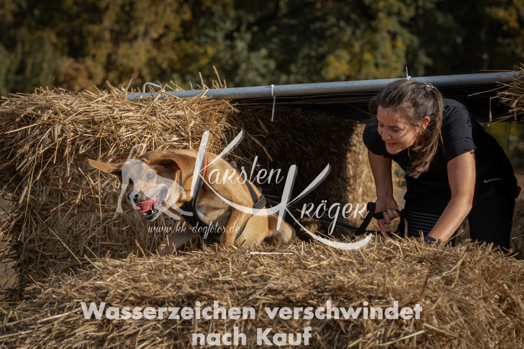 1032_ZZ98665 | kk-dogfotos