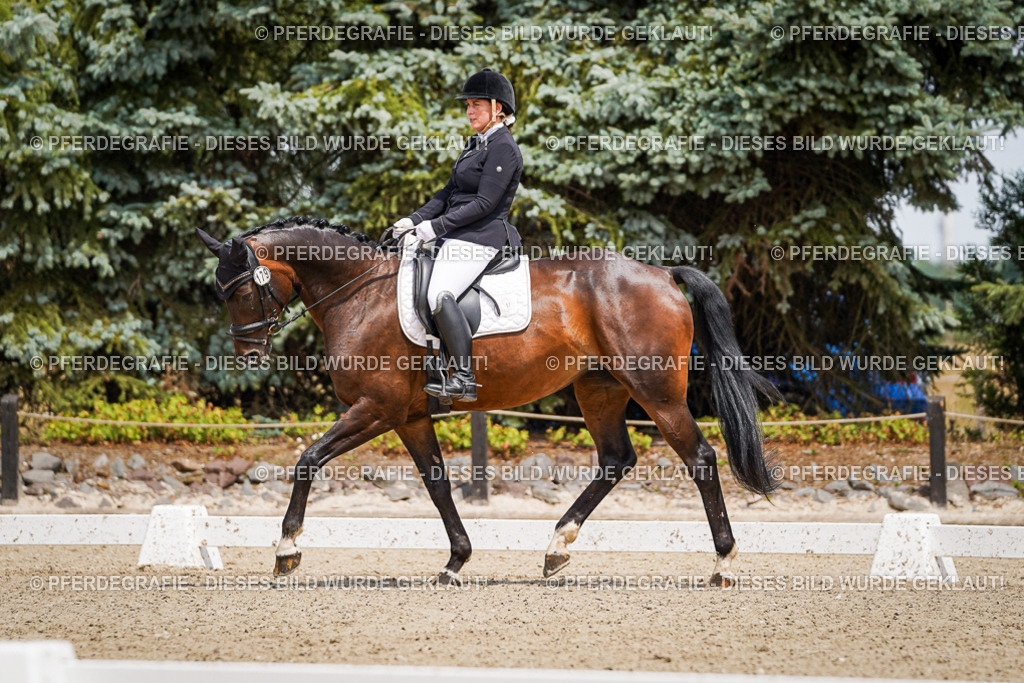 DSC02054 | Pferdegrafie