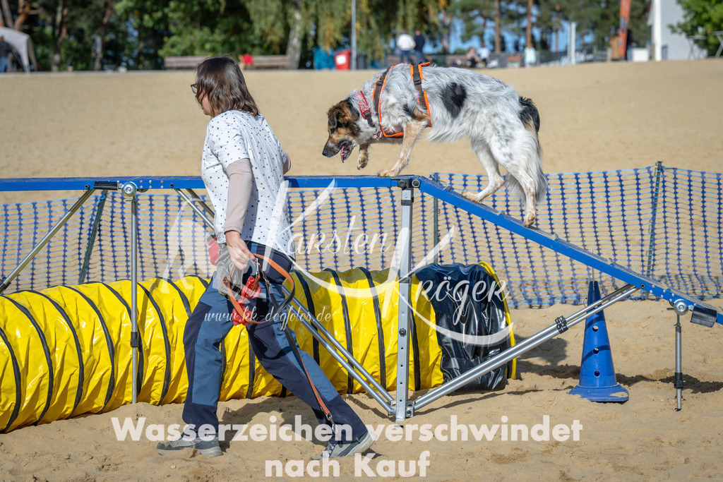 1506_ZZ92145 | kk-dogfotos