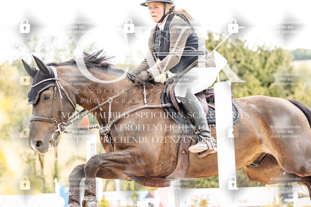 CK909327 | Turnierfotografie Pferdefotografie Trier Rheinland-Pfalz Pferdesport Reitsport Tierfotografie Sportfotografie Pferdevideo Pferdevideografie Equestrianvideography equestrianphotography  - Realisiert mit Pictrs.com