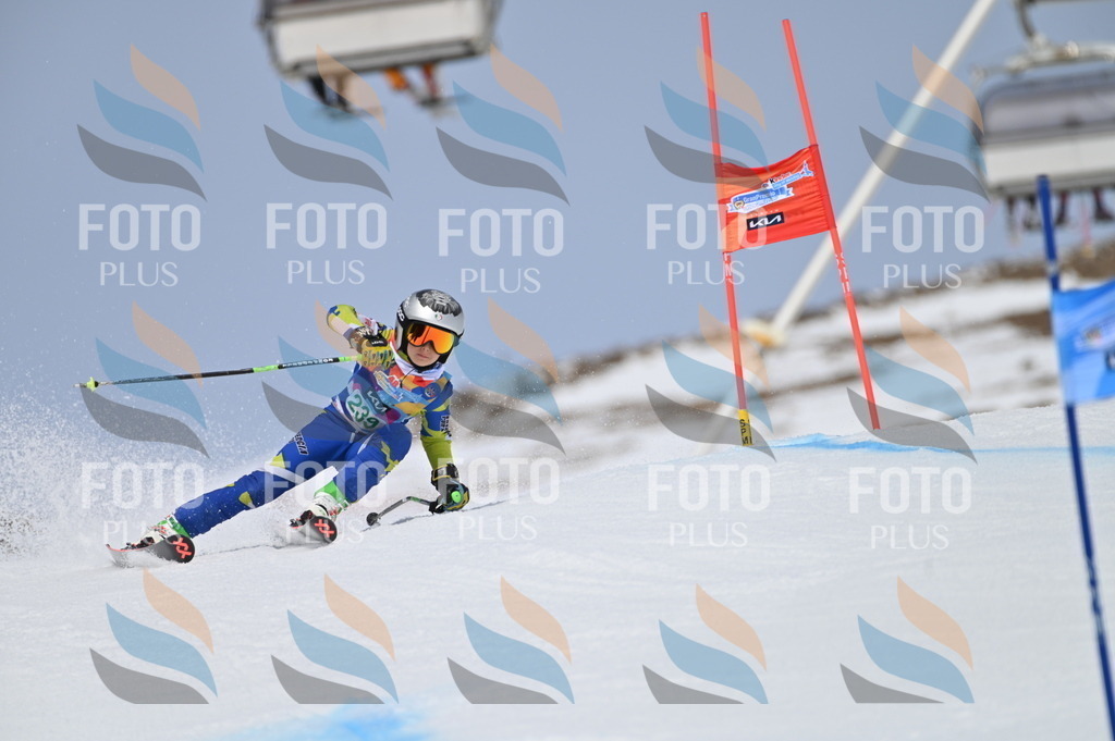 BGV_4726 | holidayphoto