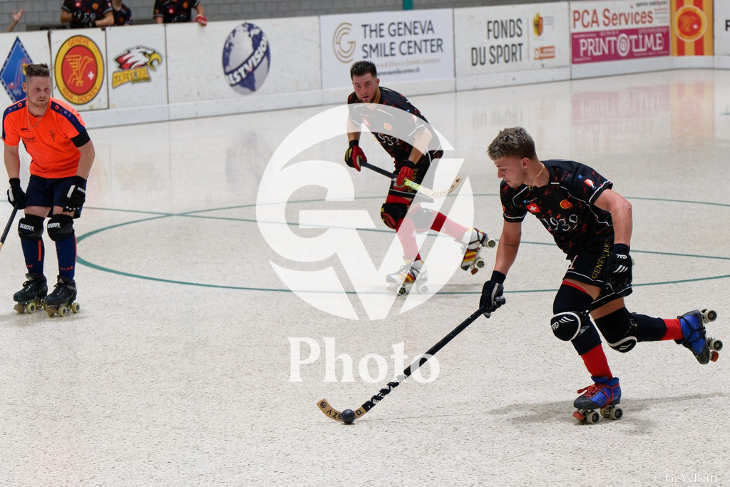 DSC_3654 | Velletri Photo