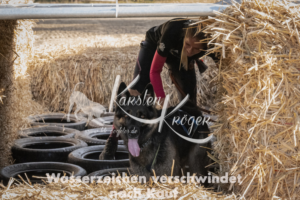 1049_ZZ99323 | kk-dogfotos