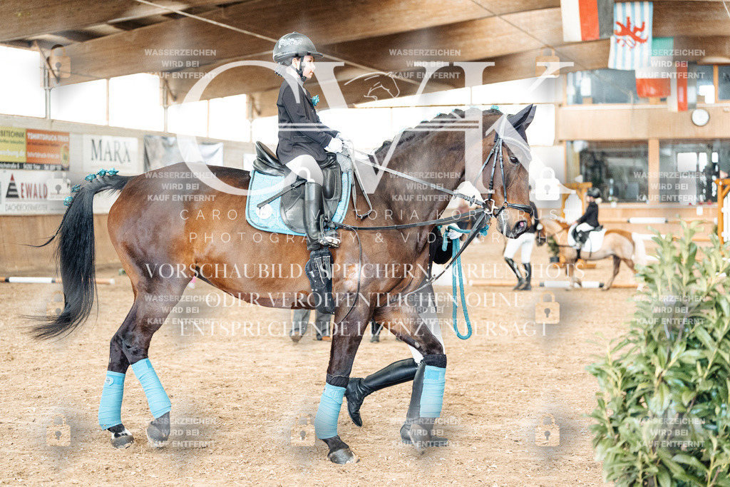 CK905887 | Turnierfotografie Pferdefotografie Trier Rheinland-Pfalz Pferdesport Reitsport Tierfotografie Sportfotografie Pferdevideo Pferdevideografie Equestrianvideography equestrianphotography  - Realisiert mit Pictrs.com