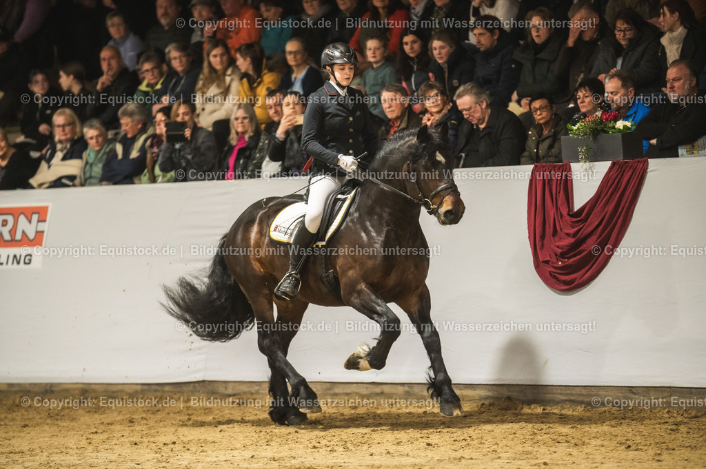 20240302_Hengstvorstellung_Marbach_TOMsPiC_0286 | equistock